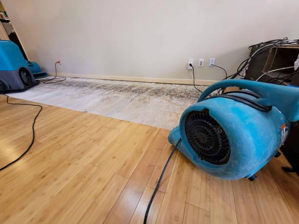 Reliable Basement Flood Cleanup contractor in Mount Vernon, IL by Hirex Water Damage