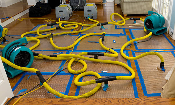 Professional Basement Flood Cleanup technician working in Mount Vernon, IL
